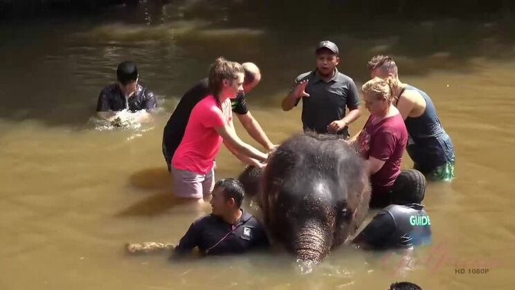 [ATKGirlfriends] - Epic Day Trip with Hot Brunette Elena Koshka - Elena Koshka