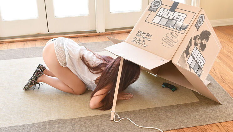 [ExxxtraSmall] - Small Time Thief Trapped - Elle Voneva