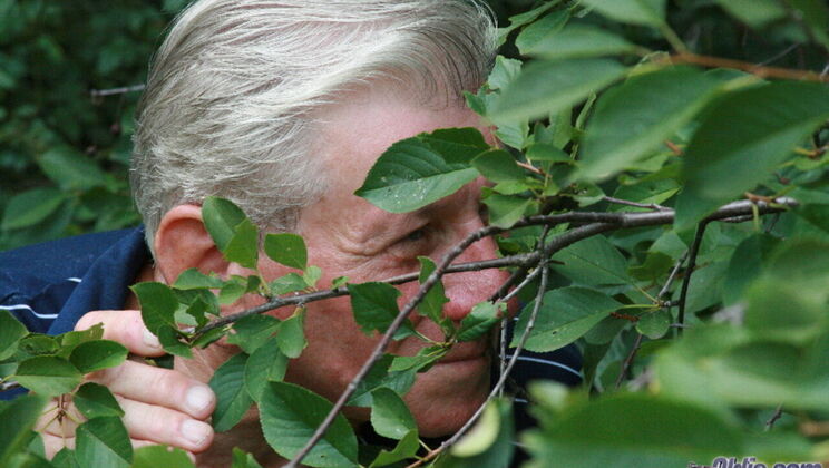 [Oldje] - Old Barney Young Monika - Barney - Monika